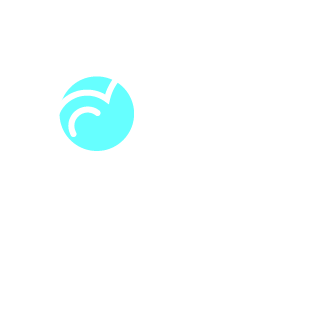 Remote system monitoring and fault recovery toolbox